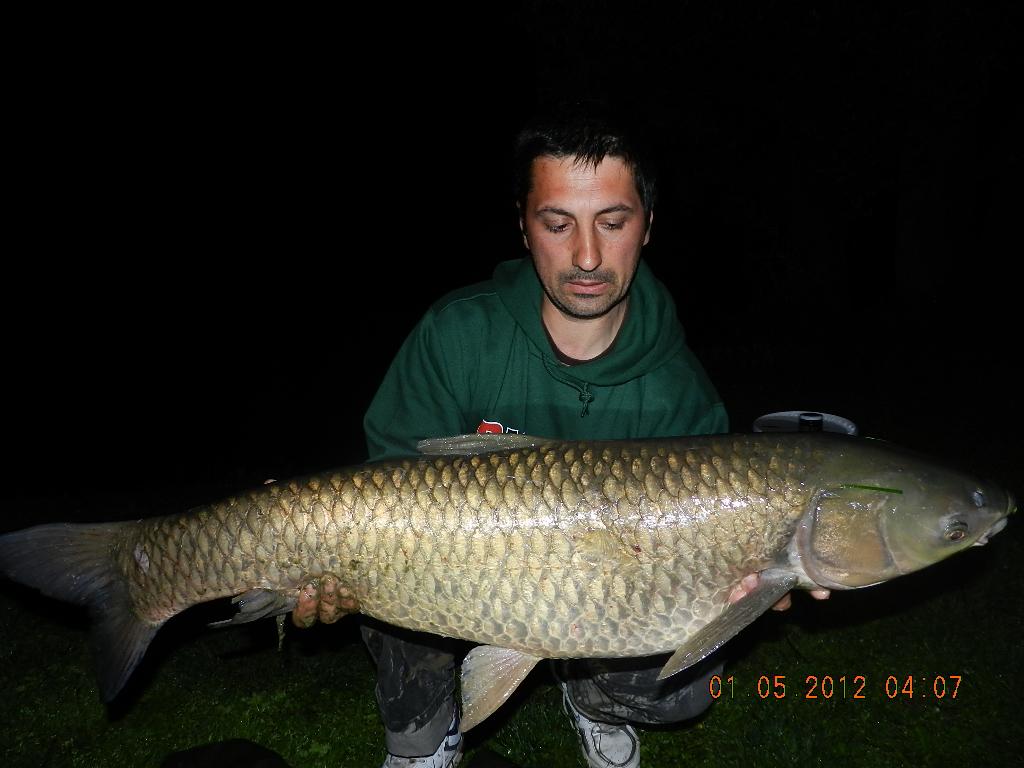 carpfishing
